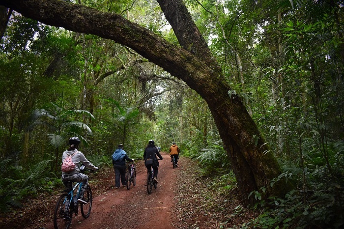 Conheça passeio de bike, guiado, pela floresta da Mata Atlântica