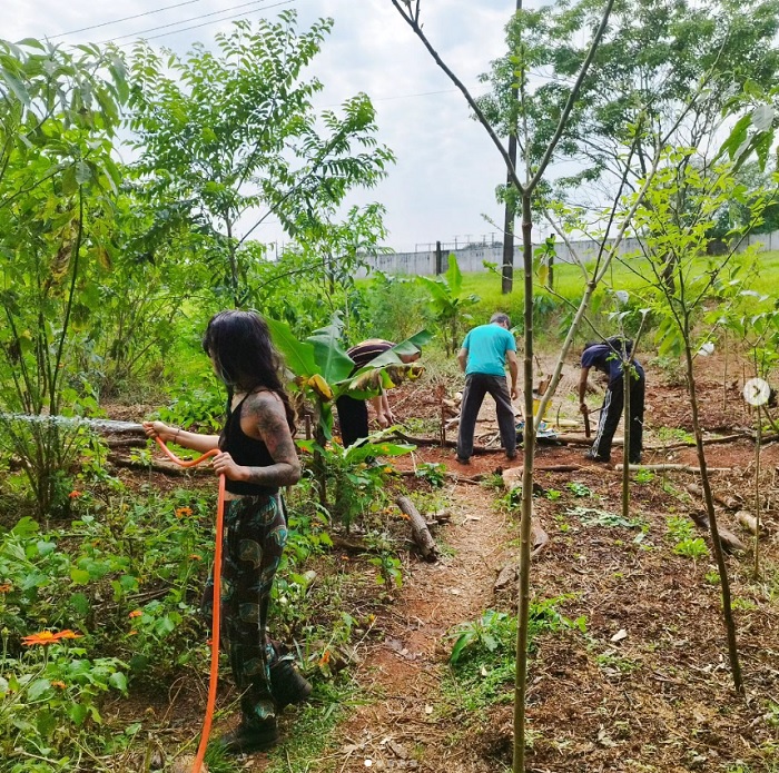 Sábado (17), projetos unileiros convidam a comunidade a uma conexão com a natureza