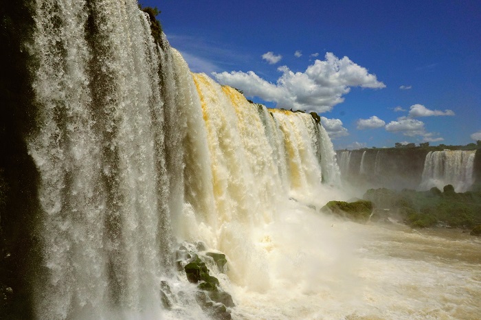 Parque Nacional do Iguaçu recebe ação Kids Save Lives Brasil na terça, 3