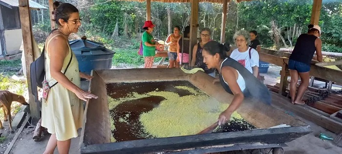 Dia da Amazônia: rádio discute ‘economia feminista’ para manter floresta em pé