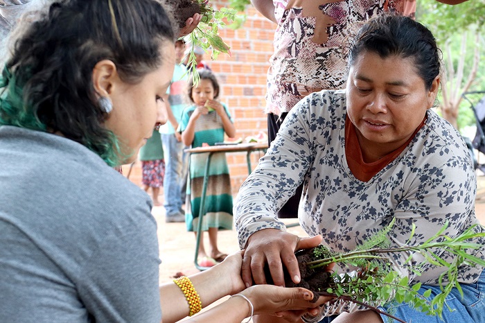 Refúgio Biológico da Itaipu doa mais de mil mudas de plantas medicinais para comunidades indígenas