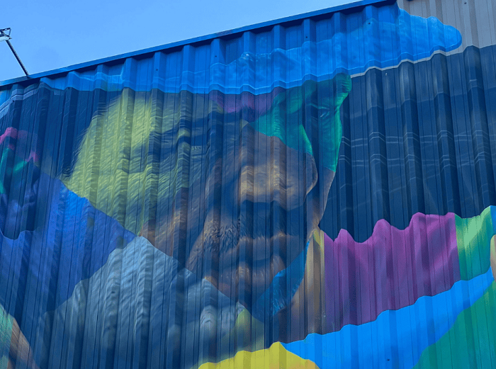 Foz mais colorida: mural do Kobra no Mercado Público Barrageiro foi revelado