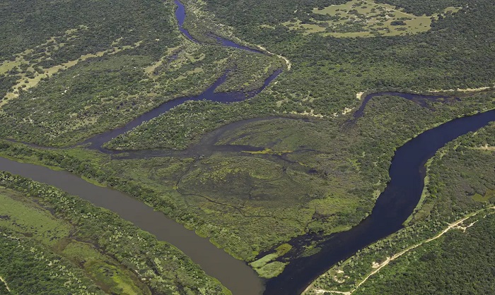 Maior parte da Mata Atlântica tem menos de 30% de vegetação nativa