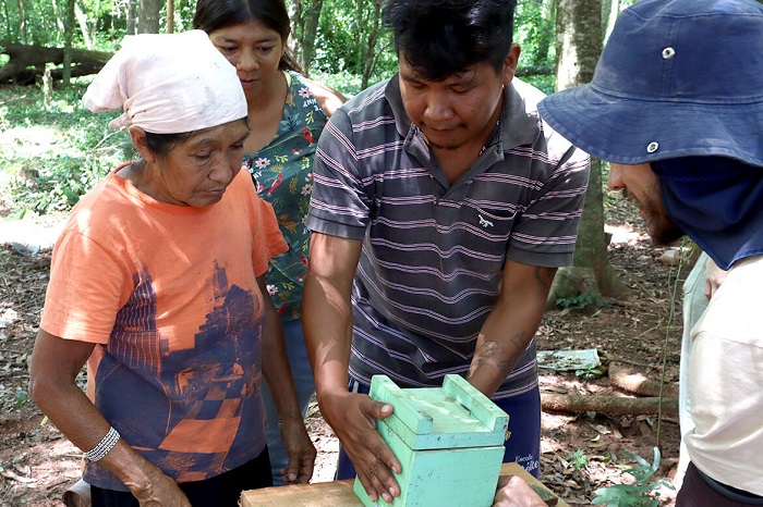 Meliponicultura e biodiversidade em áreas indígenas no Paraná têm apoio da Itaipu