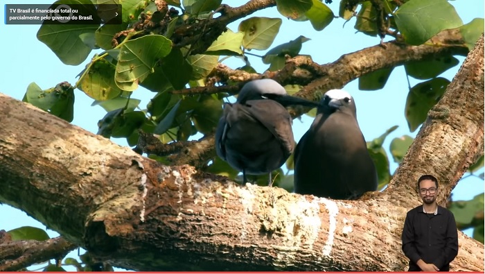 Assista a série premiada Caminhos dos Viajantes, sobre ecossistemas brasileiros. Online.