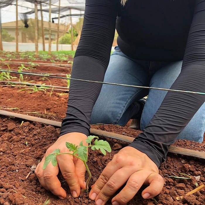 Unioeste realiza certificação de manejo orgânico no Oeste e no Sudoeste do Paraná