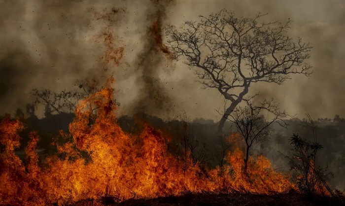 Crise climática é amplificadora de outras crises, alerta pesquisadora