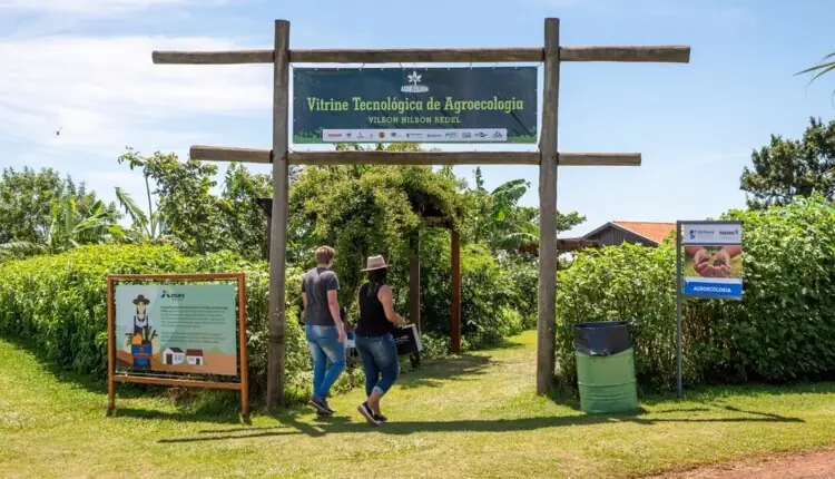 Itaipu Binacional leva transição energética ao Show Rural Coopavel 2025