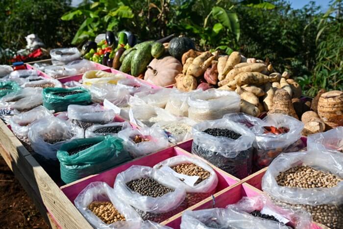 Itaipu triplica capacidade de atendimento a agricultores familiares de 434 municípios do PR e MS