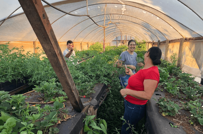 Pesquisa revela que produção ecológica é a mais rentável para agricultura familiar