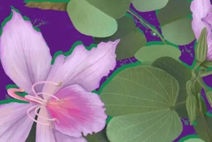 Exposição “Natureza (Re/a)presentada: Arte por quem estuda a vida” fica aberta até o dia 20