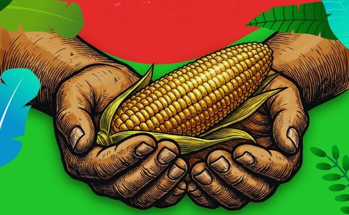 Festival da Colheita ocorre domingo, 14, no bairro Cidade Nova