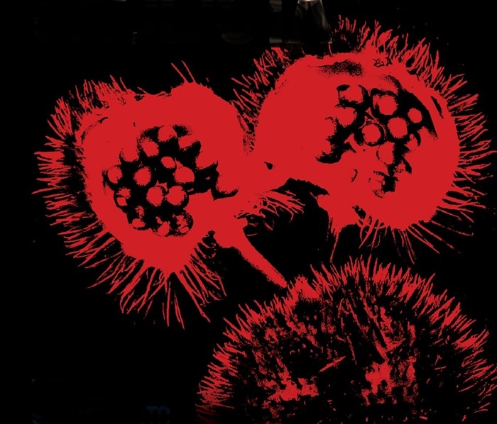 Livro documenta massacre dos indígenas Kaingang em São Paulo