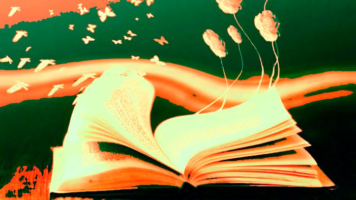 Novo ano: dicas para se criar um hábito diário de leitura