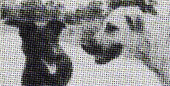 El hombre que aprendió a ladrar, um miniconto de Mario Benedetti