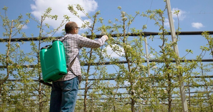 Cartilha analisa benefícios e riscos dos pesticidas para a produção de alimentos