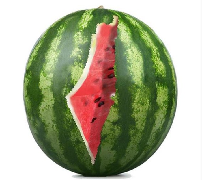 Dia 13, Unila discute os “Conflitos do Oriente Médio e a Questão Palestina”