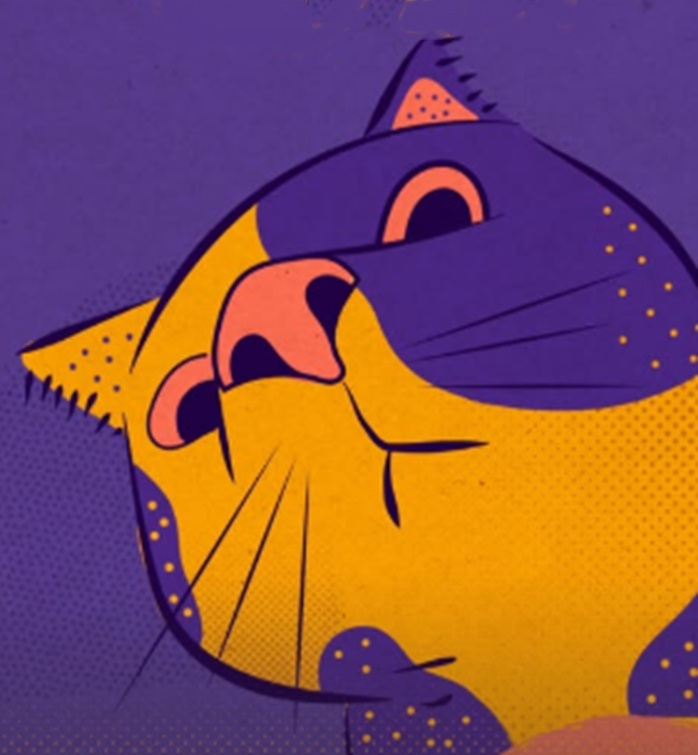 Gato no foco, festival à vista