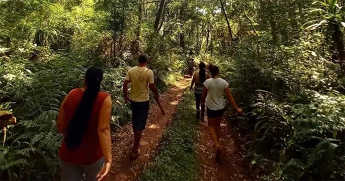 Sociobiodiversidade é chave para proteger meio ambiente e comunidade em terra indígena