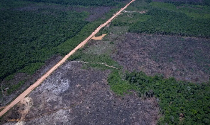 Redução do desmatamento contrasta com argumentos dos EUA para tarifaço