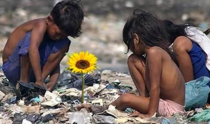 “Ilha das flores”, curta premiado de Jorge Furtado, está disponível online