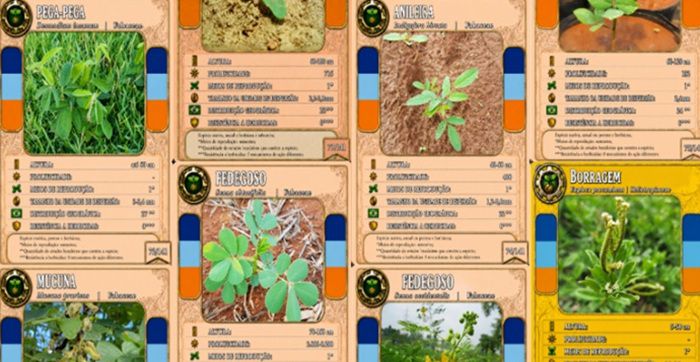 Jogo de cartas explica a ciência sobre plantas daninhas e manejo sustentável na agricultura