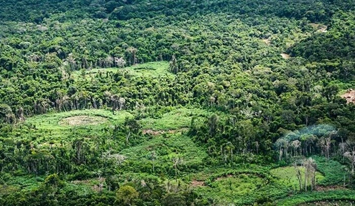 Amazônia: especialistas defendem protagonismo indígena na restauração de terras