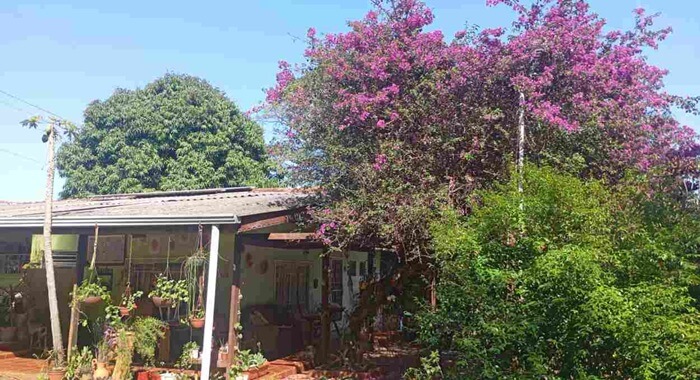 IV Sarau Sopro de Sol celebra a primavera. Programação de arte e permacultura